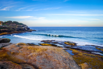 高中生里誰更適合去澳洲讀預科？