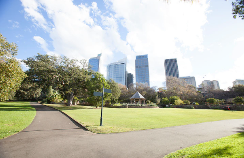 2023年去澳洲留學，學什么專業好？