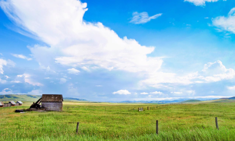 加拿大留學Q&A，幫你答疑解惑！