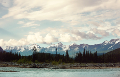 快來收藏！新西蘭留學(xué)「數(shù)據(jù)科學(xué)專業(yè)」院校推薦！