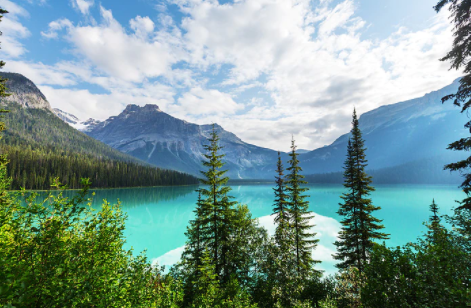 考研后留學(xué)加拿大方案速覽！附加拿大10大熱門院校