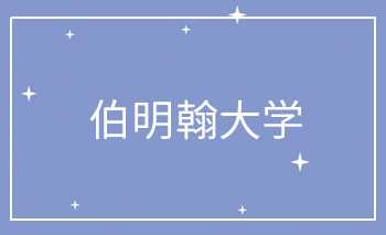 伯明翰大學Offer