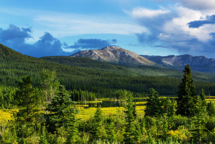 聊聊：加拿大留學擇校方法及費用