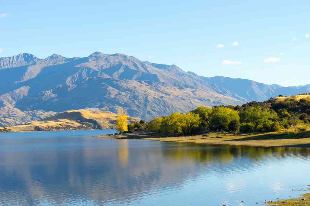 高考&留學(xué)雙規(guī)劃：新西蘭本科留學(xué)申請(qǐng)方案！