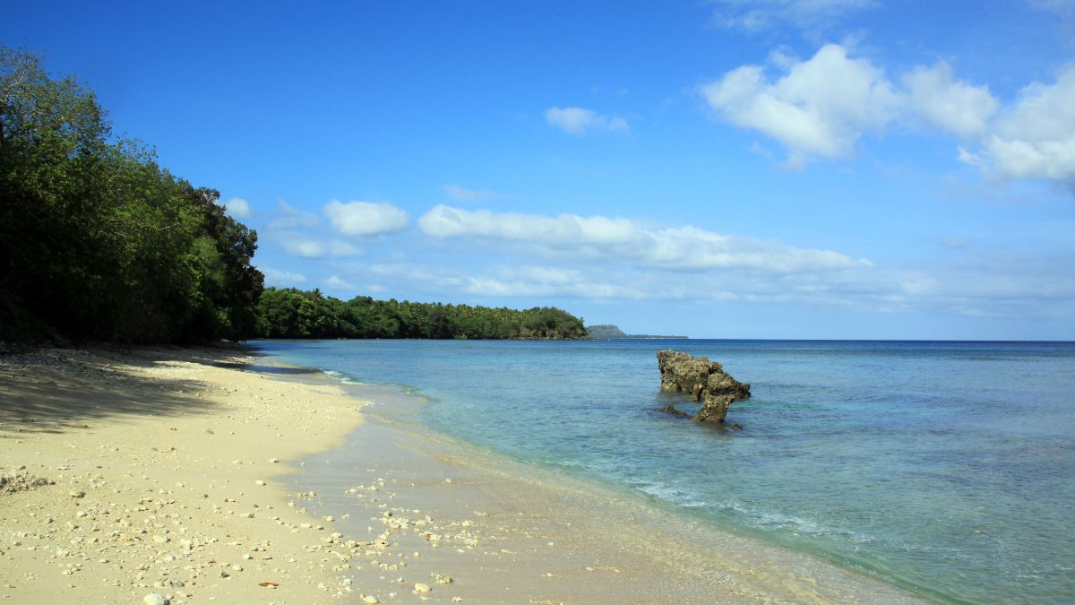 瓦努阿圖護照政策解讀