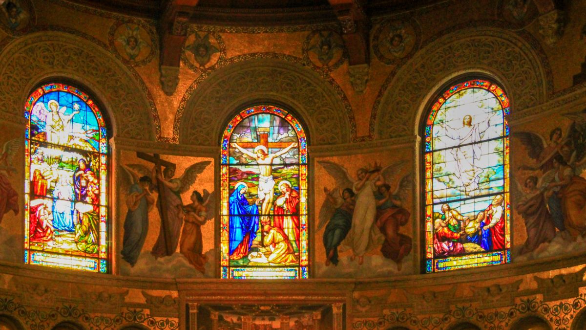 美國大選|對留學生有何影響？誰勝選會對留學生更有利呢？