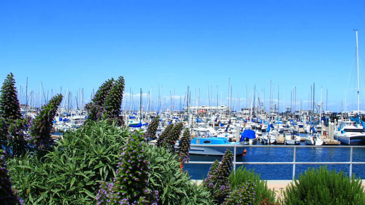 辦理EB-5為什么要解釋資金來源？如何解釋