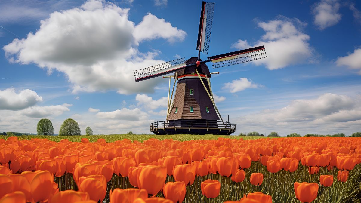 為什么選擇荷蘭留學？荷蘭留學常見問題解答