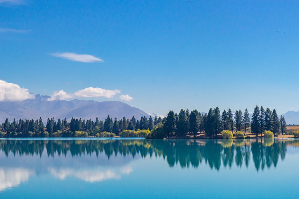 留學新西蘭迎來“黃金窗口期”