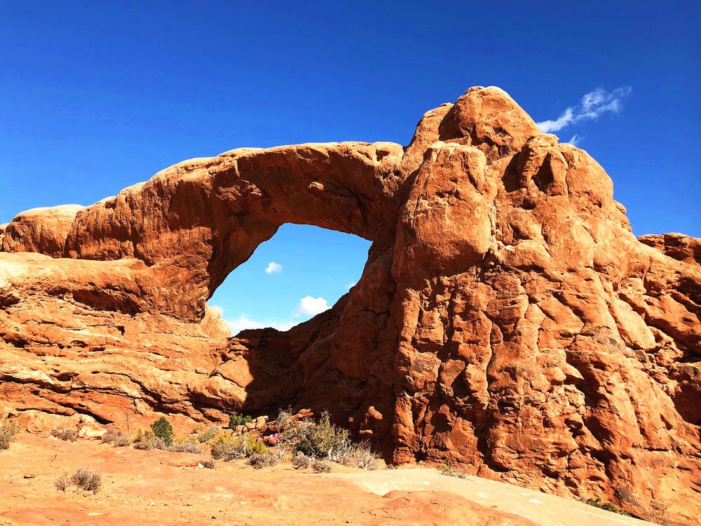 考研失利怎么辦？留學來兜底？