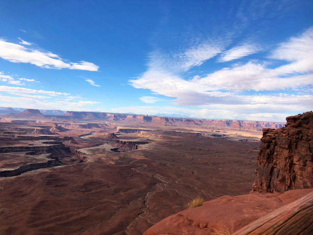 美國本科：不靠標化也能進的4所名校